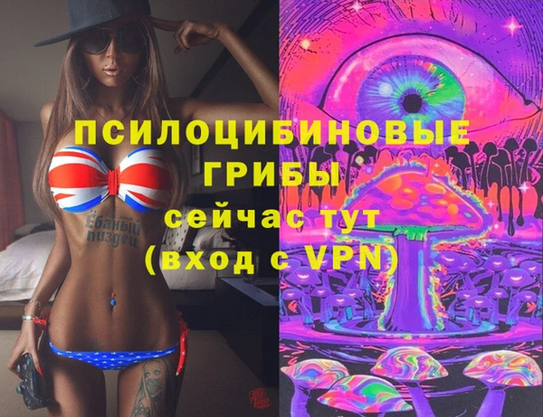 стафф Балахна