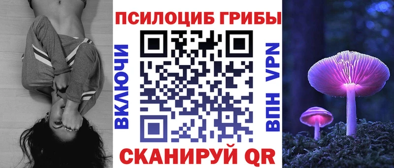 Галлюциногенные грибы MAGIC MUSHROOMS  площадка Telegram  Сланцы  продажа наркотиков 